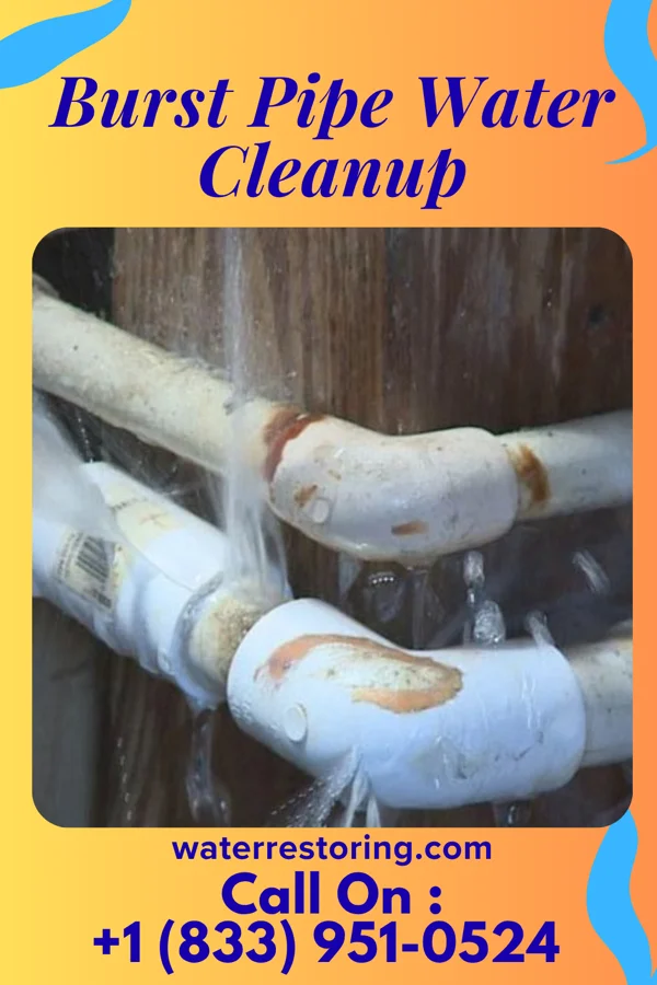 Burst Pipe Water Cleanup in Wopsononock, PA