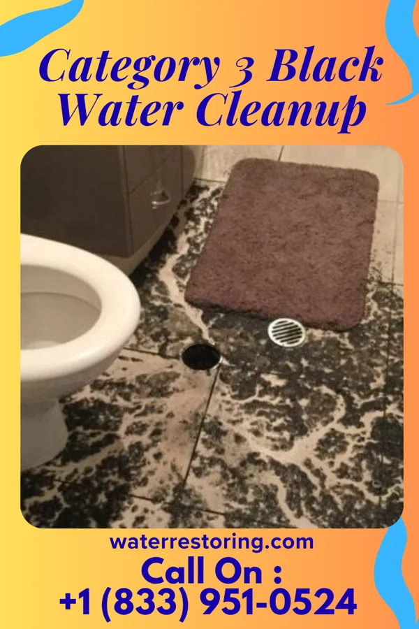 Category 3 Black Water Cleanup in Wopsononock, PA