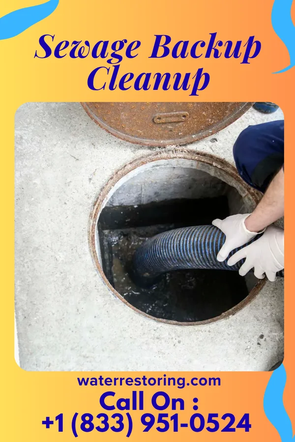 Sewage Backup Cleanup in Wopsononock, PA